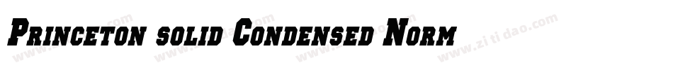 Princeton solid Condensed Normal字体转换